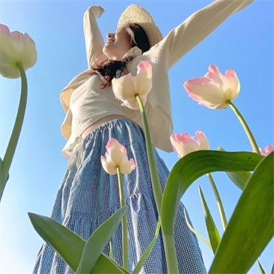 狮子彻夜未眠